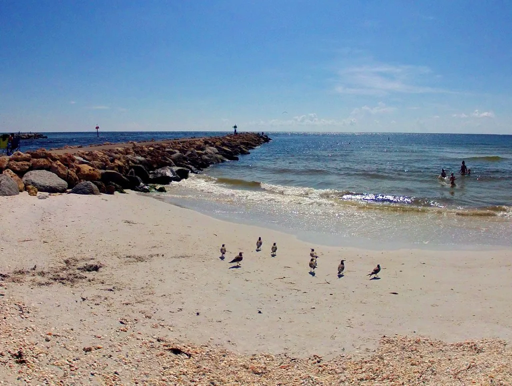 Snorkeling the north Venice jetty on Casey Key, Florida, Sarasota