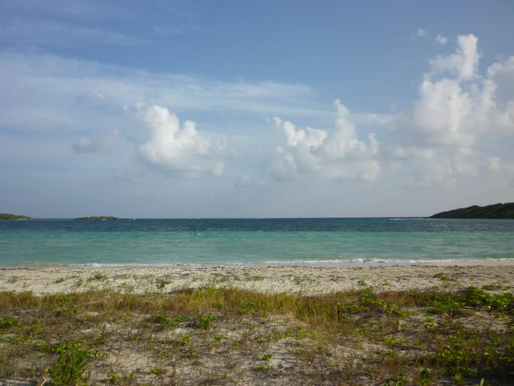 Beach in Vieques, Puerto Rico