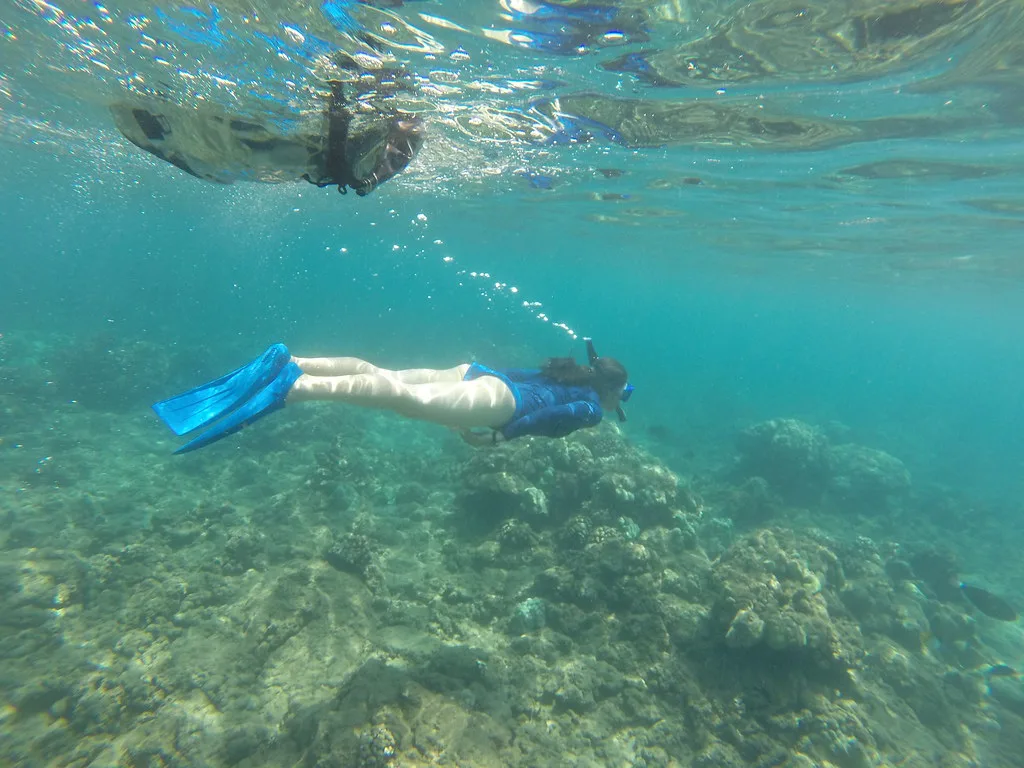 starr- - -Cocos nucifera-with Kim snorkeling-Wailea-Maui